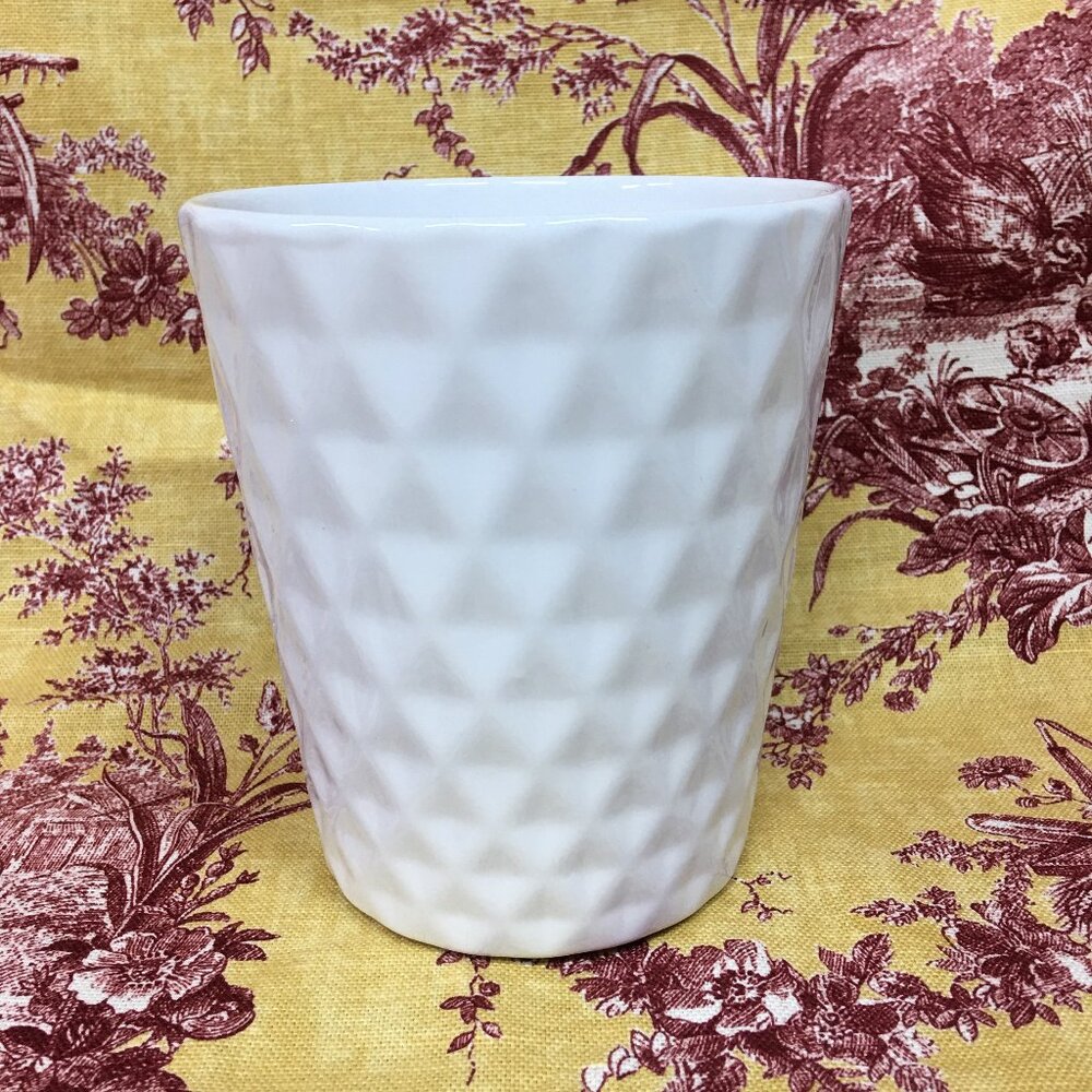 Ceramic Orchid 5" Pot White